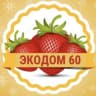 MAX-канал Клубника Малина САЖЕНЦЫ «ЭКОДОМ 60»