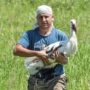 Канал 🐦 Птицы Амура 🐦 в MAX