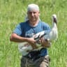 MAX-канал 🐦 Птицы Амура 🐦
