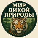 Канал Мир дикой природы в MAX