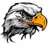 MAX-канал Дагестан