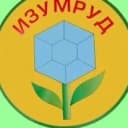 Канал Детский сад - Изумруд в MAX