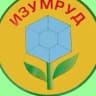 MAX-канал Детский сад - Изумруд