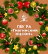 MAX-канал ГБУ РА "ГИАГИНСКИЙ КЦСОН"