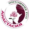 MAX-канал Питомник роз | "Анастасия" | Зерноград