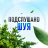MAX-канал Подслушано Шуя