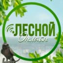 Канал Лесной ONLINE в MAX