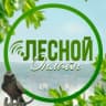 MAX-канал Лесной ONLINE