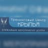 MAX-канал Алина Фати | Психолог | Игропрактик| Коуч ICU | Профориентолог | Сексолог | Тренинговый центр «Крылья»