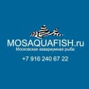 Канал Московская аквариумная рыба в MAX