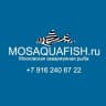 MAX-канал Московская аквариумная рыба