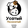 MAX-канал Усатый Полосатый | собаки | кошки | животные | юмор | приколы