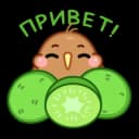 Стикеры Набор стикеров Птичка киви в MAX