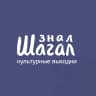 MAX-канал Знал Шагал