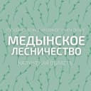 Канал ГКУ КО "Медынское лесничество" в MAX
