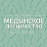 MAX-канал ГКУ КО "Медынское лесничество"
