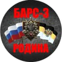 Канал БАРС-3 «Родина» в MAX
