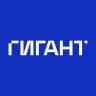 MAX-канал ГИГАНТ - Компьютерные системы