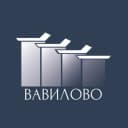 Канал Лидеры продаж ЖК Вавилово в MAX