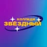 MAX-канал Санкт-Петербургское государственное бюджетное профессиональное образовательное учреждение "Колледж "Звёздный"