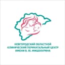Канал Новгородский перинатальный центр в MAX