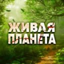 Канал Живая планета в MAX
