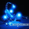 MAX-канал Мой знак зодиака Скорпион