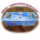 Канал МКОУ "Мишлешская СОШ" в MAX