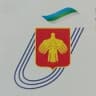 MAX-канал Министерство физической культуры и спорта Коми