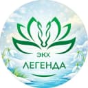 Канал ЭКХ "Легенда" в MAX