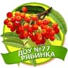 MAX-канал МАДОУ "Детский сад №77" г. Стерлитамак