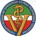 Канал ГБУ "Госветобъединение г.Наб.Челны" в MAX