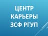 MAX-канал Центр Карьеры ЗСФ РГУП им. В.М. Лебедева