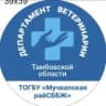 MAX-канал ТОГБУ "Мучкапская рай СББЖ"