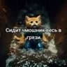 Стикеры Мяу мяу в MAX