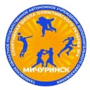 Канал ТОГАУ ДО "СШОР №4 "МИЧУРИНСК" в MAX