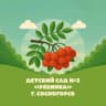 MAX-канал МБДОУ "Детский сад № 3" г. Сосногорска
