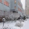 MAX-канал ГБДОУ детский сад № 97 Красногвардейского района