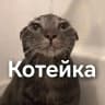 MAX-канал Котейка