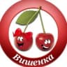MAX-канал МДОУ № 83 "Вишенка" город Вологда