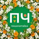 Канал Центр развития ПИШИЧИТАЙКА Ханты-Мансийск в MAX