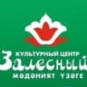MAX-канал Культурный центр Залесный города Казани
