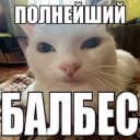 Стикеры Набор стикеров али$АСКовородка в MAX