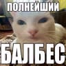 Стикерпак Набор стикеров али$АСКовородка