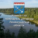 Канал Комитет по природным ресурсам Ленобласти в MAX