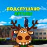 MAX-канал Подслушано Аргаяш