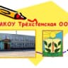 MAX-канал МКОУ "Трехстенская ООШ"