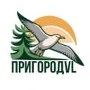 Канал Пригород Владивостока в MAX
