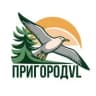 MAX-канал Пригород Владивостока
