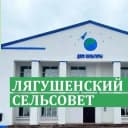 Канал Администрация Лягушенского сельсовета Купинского района Новосибирской области в MAX